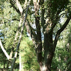 20100825_150_small.JPG