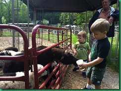 ty and mj petting zoo