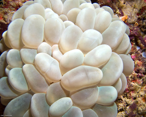 P7075089