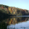 dsc05823.jpg