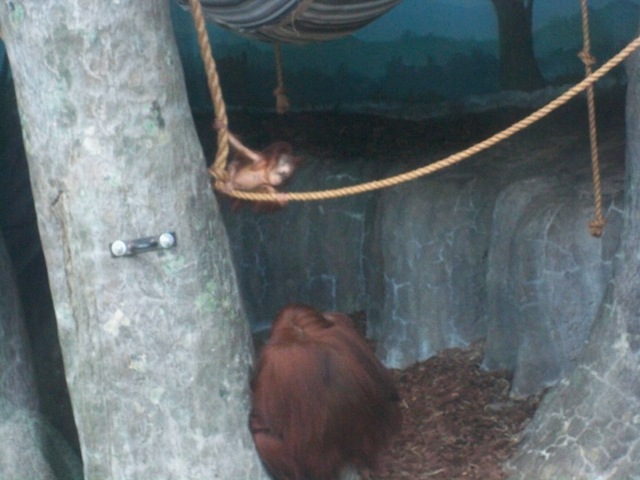 [baby06%255B2%255D.jpg]