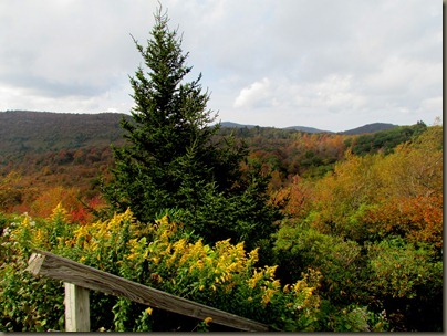 Near Graveyard Fields on Blue Ridge