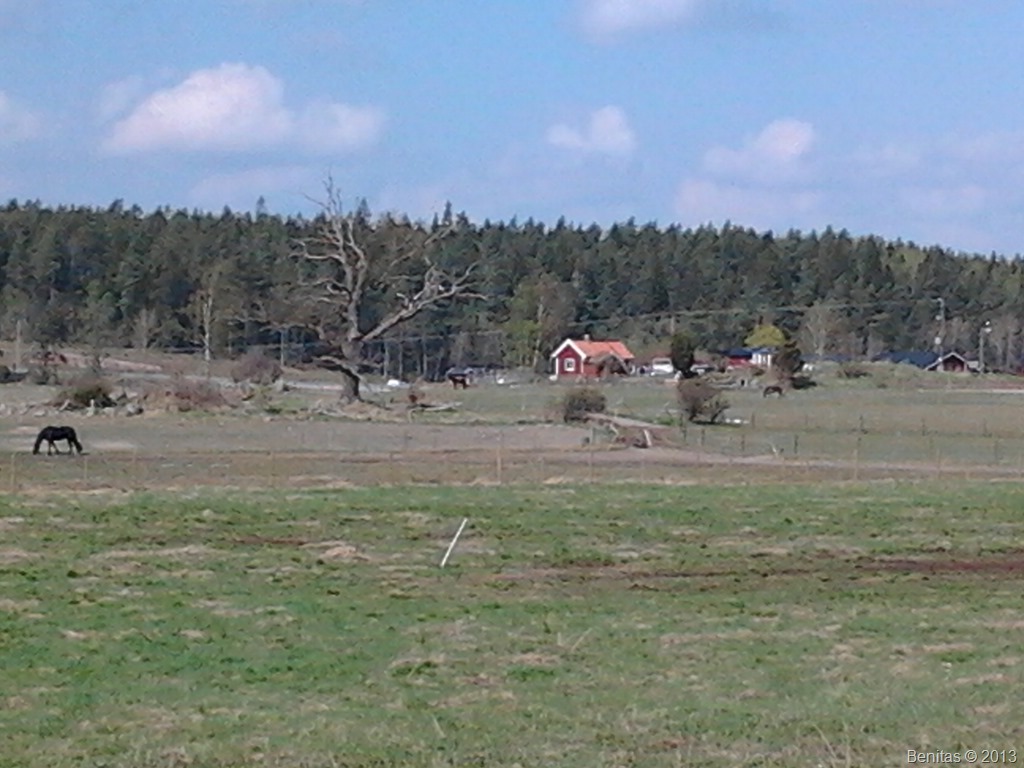 [2013-05-12%252011.32.32%255B6%255D.jpg]