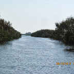 IMG_7971.JPG