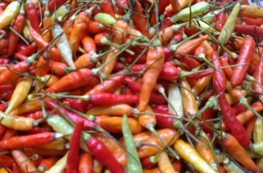 Chili I Cabe
