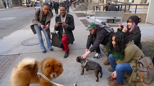 I'm sorry, Francesca!  I know you and Sharkey enjoy your celebrity from the Daily Wag and from your appearances on Martha's Show, but I'm still getting used to all of this attention!