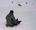 Playing in the Snow