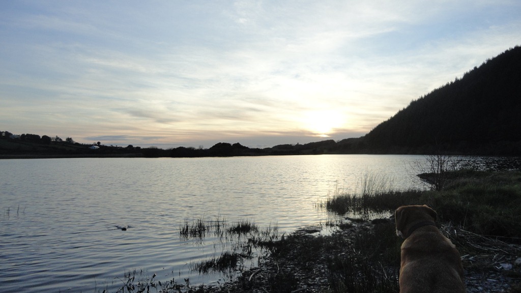 [13.Shepperton%2520Lakes%255B3%255D.jpg]