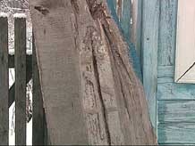 [21523_big%255B2%255D.jpg]