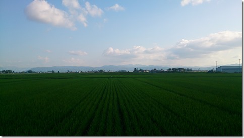DSC_0371 DSC_0371
