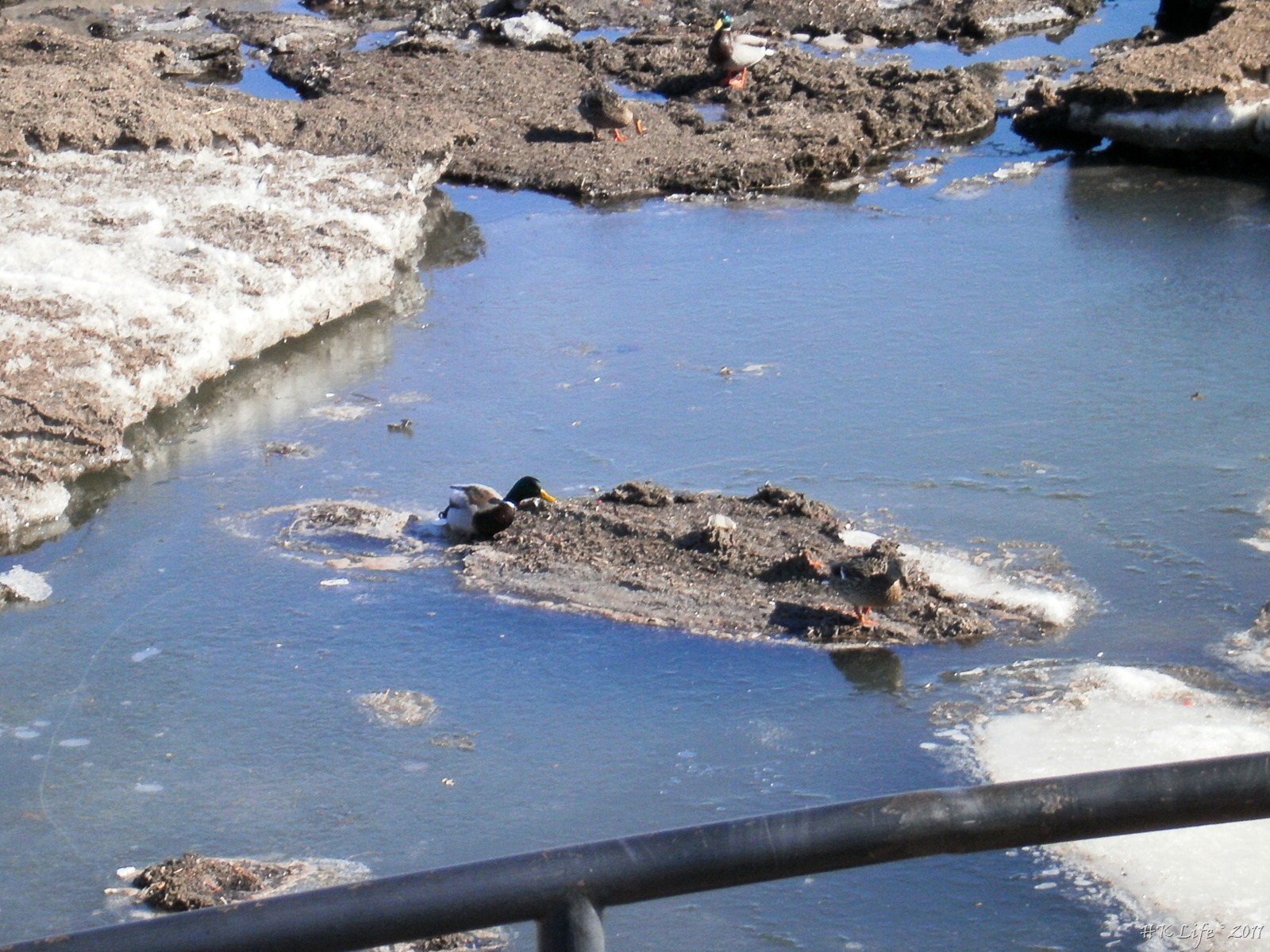 [P3020063%255B3%255D.jpg]