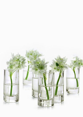 Clear Glass Cylinder, Set of 4. (jamaligarden.com)