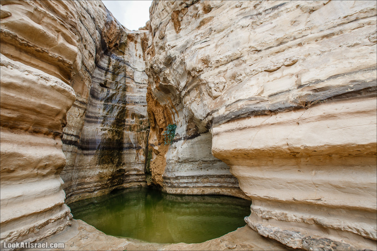 Каменный источник