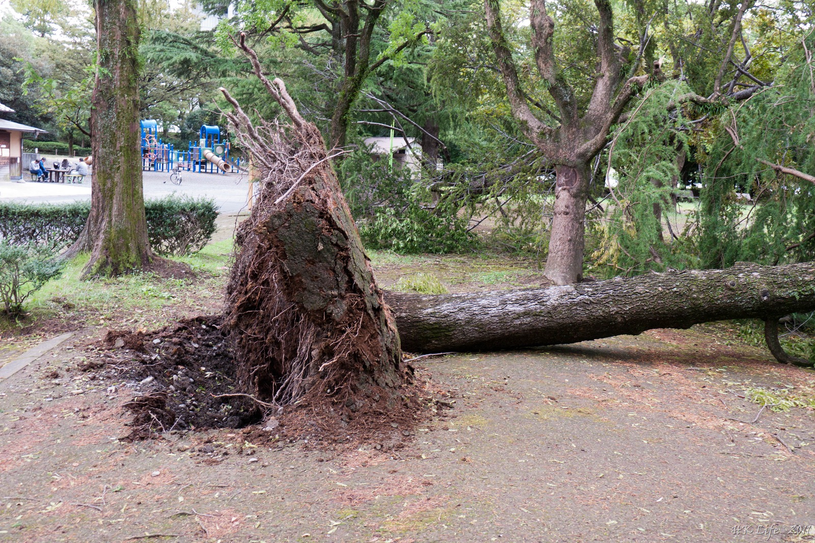 [_1010794%255B3%255D.jpg]