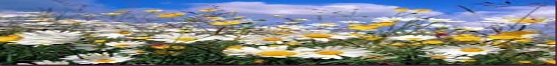 images (9) images (9)