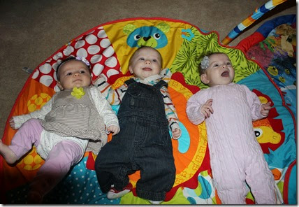 IMG_9548 IMG_9548