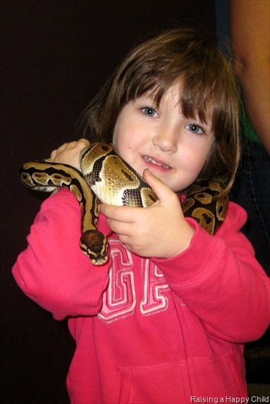 [Feb4_Snakes1%255B3%255D.jpg]