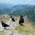 2011.07.10. - M&M na Dovški Babi