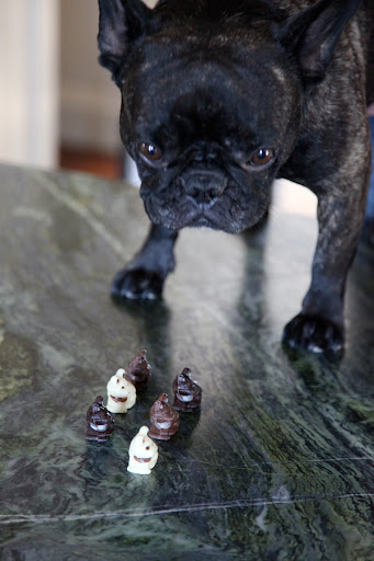 Oh, I get it now.  These fetching little Frenchies are made of chocolate and chocolate is one thing that dogs should never eat!  I suppose these are for people, like Martha, who love Frenchies.