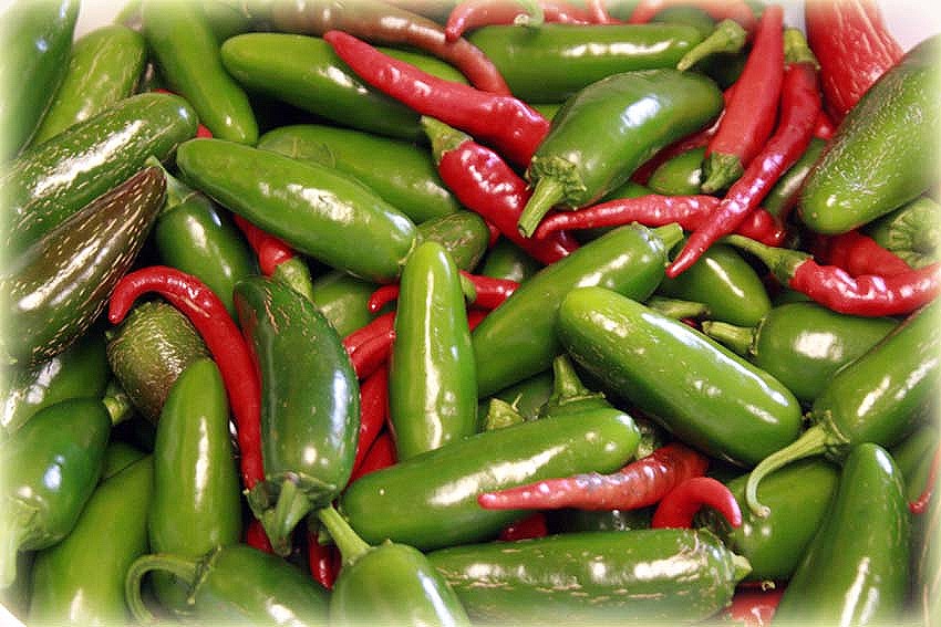 [Peppers%2520clsup%255B6%255D.jpg]