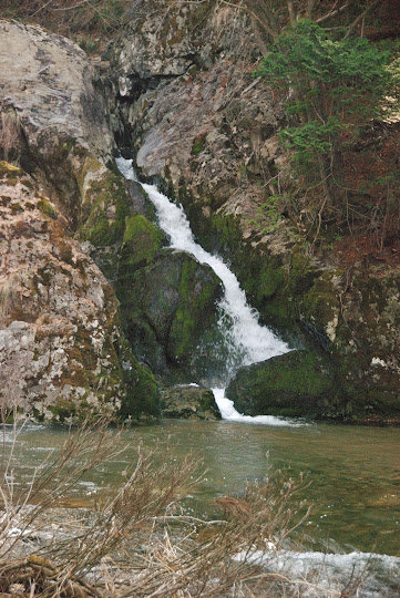 鳴滝