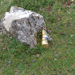 DSC_0022.JPG