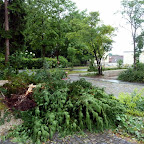 singold-bote_110608154735.jpg
