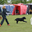 DSC00819.JPG