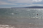 IMGP3125.jpg IMGP3125.jpg