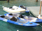 p1302079504(1).jpg