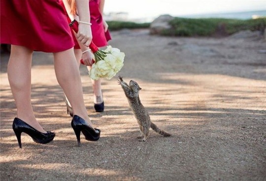 [viral-picdump-pics-9863e9%255B2%255D.jpg]