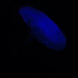IMG_4741.JPG