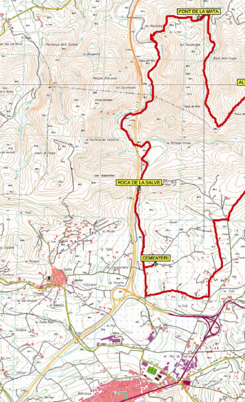 2011_11042231_ruta.jpg