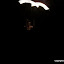 2011-05-24 09-17-49-236.jpg