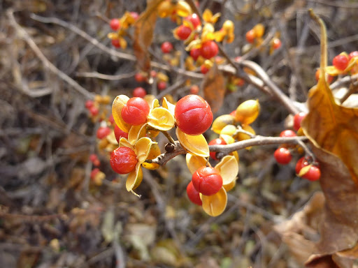 P1100367