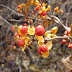 P1100367