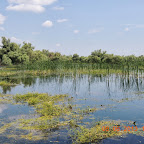 DSCN7410.JPG