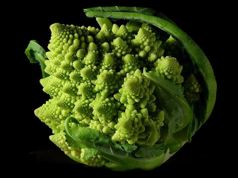 [Fractal_Broccoli%255B4%255D.jpg]