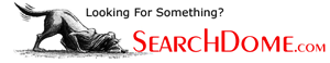 Searchdome logo