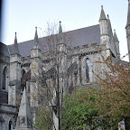DSC_8217-2.jpg