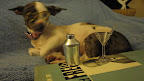 Soon things began to appear a bit blurry.  Perhaps a placebo effect....