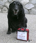 It only takes a short period of time for an animal left in a car to get into a deadly situation! An animal can succumb to heatstroke, which can cause brain damage, kidney failure, cardiac arrest, and death. It only takes a short period of time for an animal left in a car to get into a deadly situation! An animal can succumb to heatstroke, which can cause brain damage, kidney failure, cardiac arrest, and death.