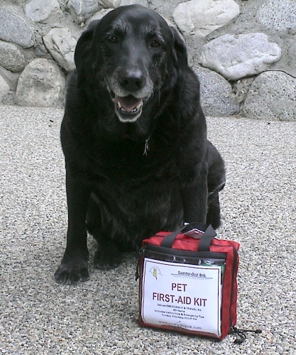 It only takes a short period of time for an animal left in a car to get into a deadly situation! An animal can succumb to heatstroke, which can cause brain damage, kidney failure, cardiac arrest, and death. It only takes a short period of time for an animal left in a car to get into a deadly situation! An animal can succumb to heatstroke, which can cause brain damage, kidney failure, cardiac arrest, and death.