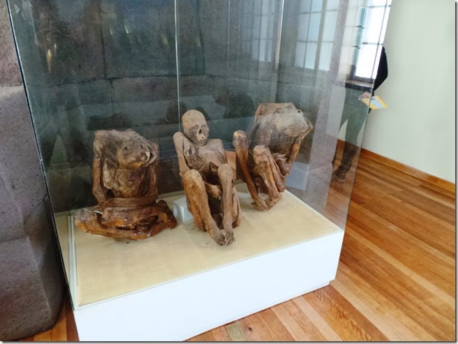 Múmias indigenas