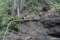 hayahay farm16.jpg