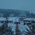 IMGP9514.JPG