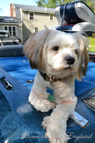 [harley%2520boat1%255B3%255D.jpg]