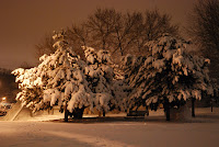 Withrow Public School, Toronto, February 2008: winter in the school yard