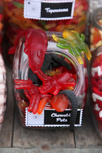 And the trick is how the jars are labeled!  Look, these gummy rats and bugs have been named 'Chewable Pets!'  Isn't that devilishly great?