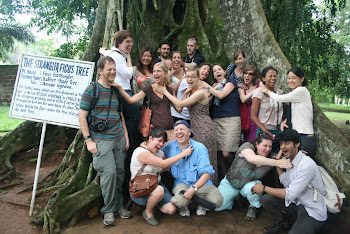 'Strangler Ficus Tree strangles the class at Aburi Botanical Garden.' Photo by Sandra Vu